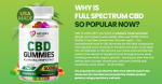 Nature's Heart CBD Gummies1.png