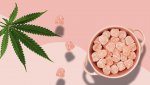 daleniokhite-hillstone-hemp-cbd-g-1-cb53806d-mf11.jpg