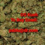 OG Kush strain .jpeg