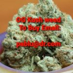 OG Kush strain review .jpeg