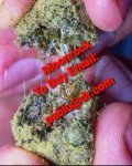 Moonrock OG Kush strain .jpeg